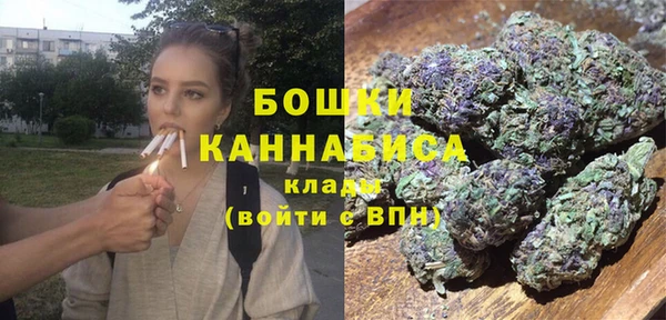 сатива Бугульма