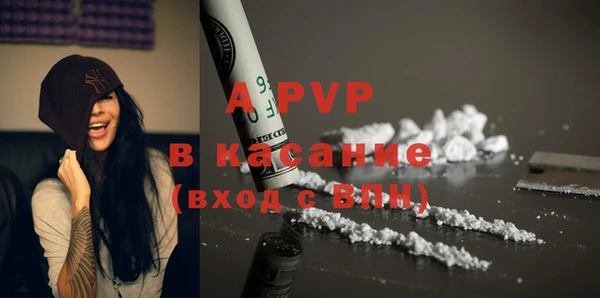 бошки Бородино