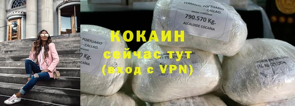 бошки Бородино