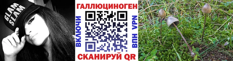 Купить где  Мураши  Псилоцибиновые грибы мухоморы 